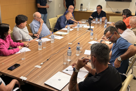 FGF realiza Conselho Técnico do Goianão 3ª Divisão 2026